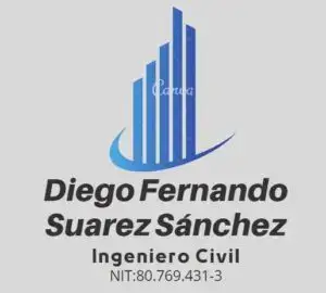 11.diego fernandez ic 300x270