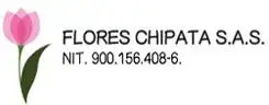 logo chipata